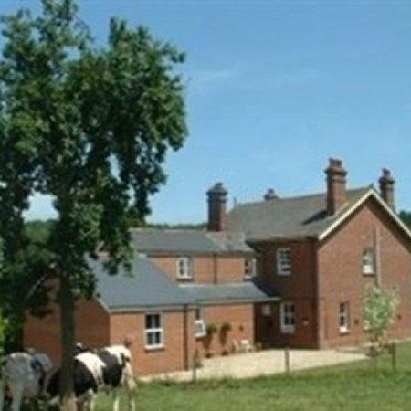 Mill Farm Villa Exeter Buitenkant foto