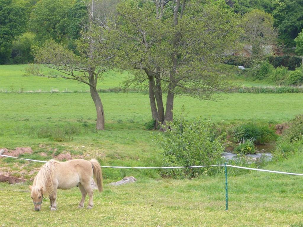 Mill Farm Villa Exeter Buitenkant foto